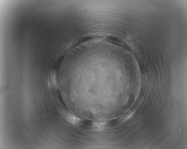 X0000073930143200608111210