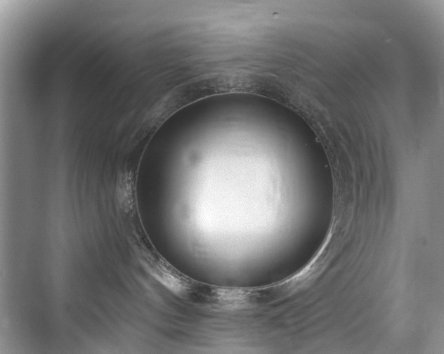 X0000073930144200608111210