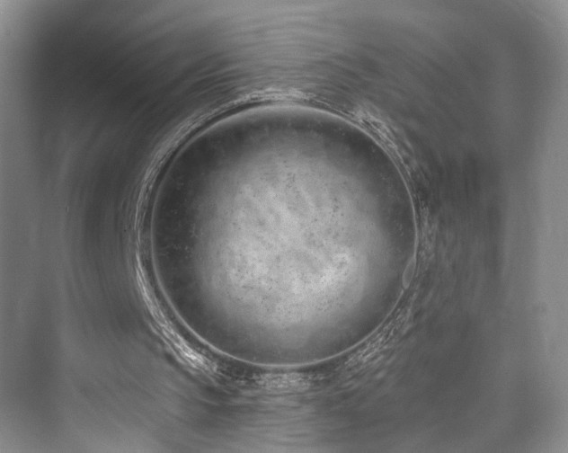 X0000073930145200608111209