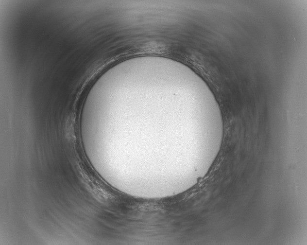 X0000073930146200608111209