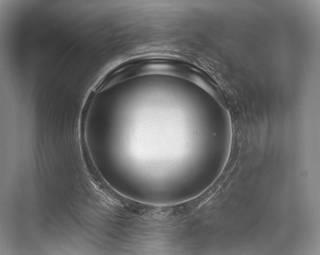 X0000073930148200608111209