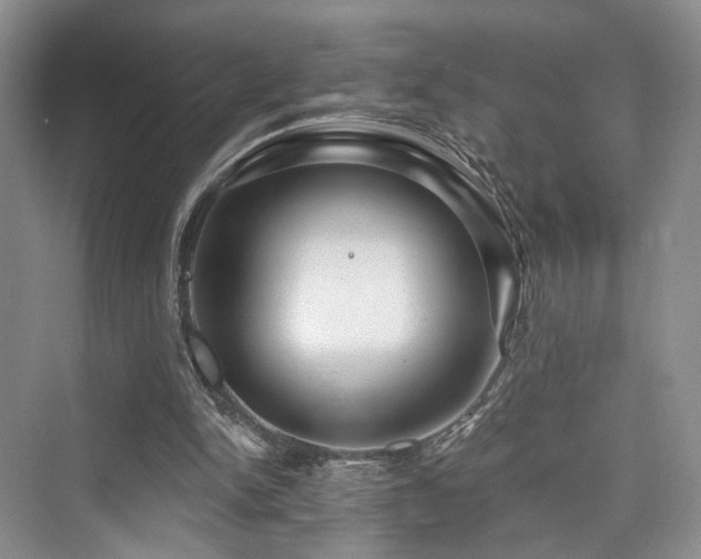 X0000073930150200608111209