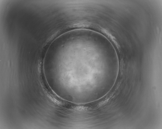 X0000073930153200608111209