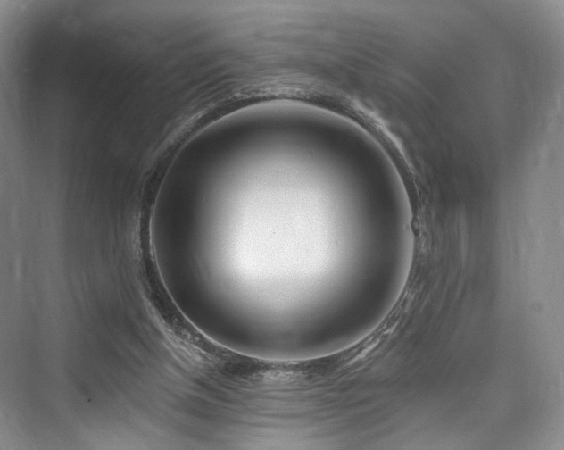 X0000073930154200608111209