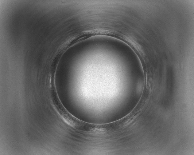 X0000073930157200608111209