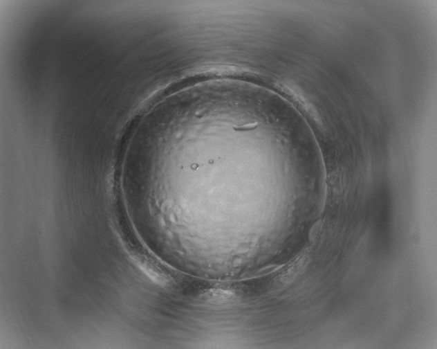 X0000073930159200608111209