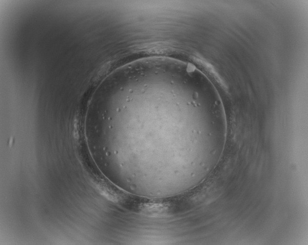 X0000073930161200608111209