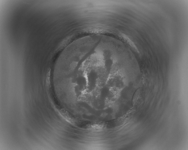 X0000073930163200608111209