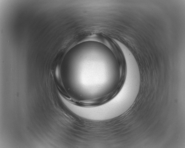 X0000073930172200608111209