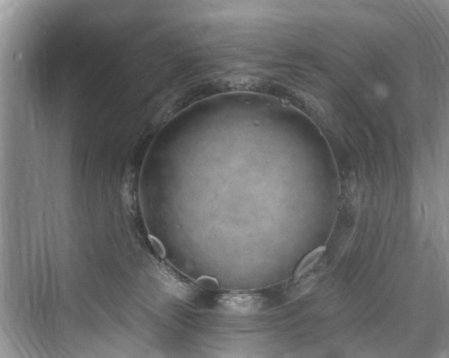 X0000073930181200608111210