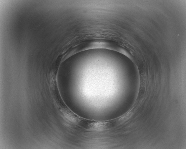 X0000073930184200608111210