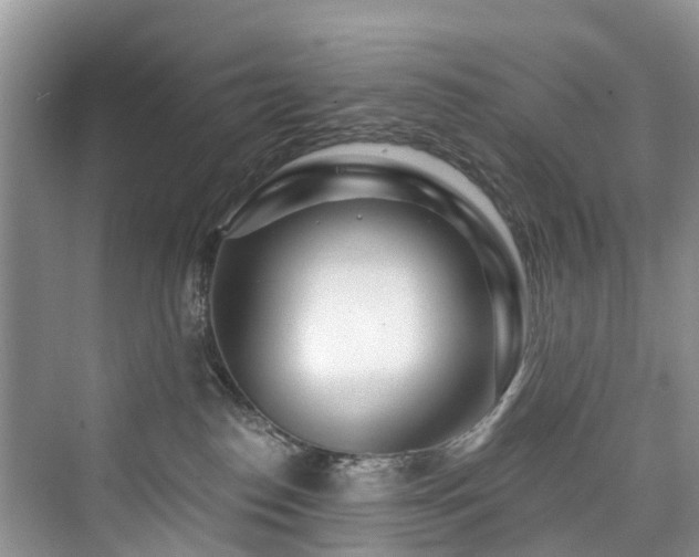 X0000073930186200608111210