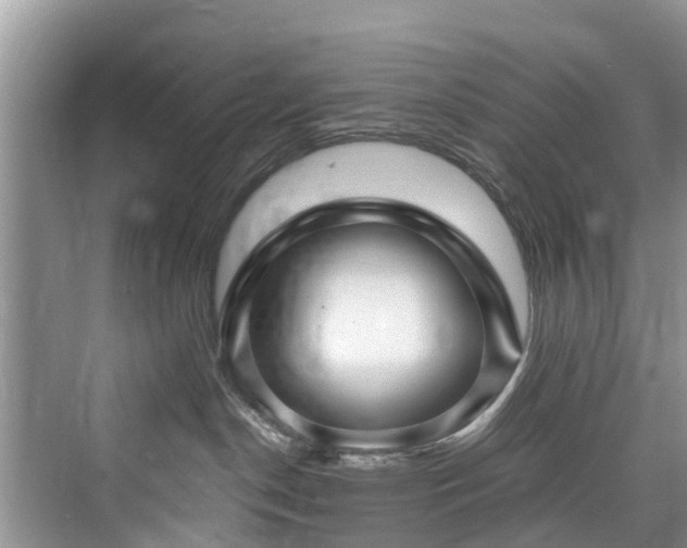 X0000073930190200608111210