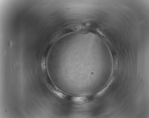 X0000073930191200608111210