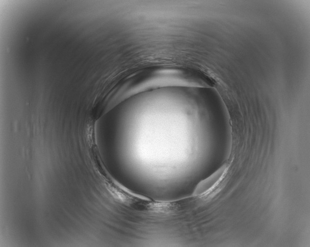 X0000073930192200608111210