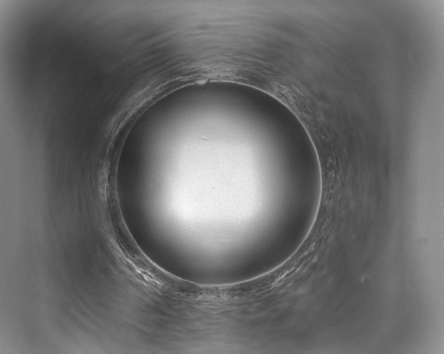 X0000073930194200608111209