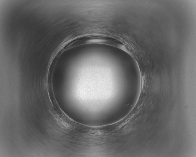 X0000073930195200608111209