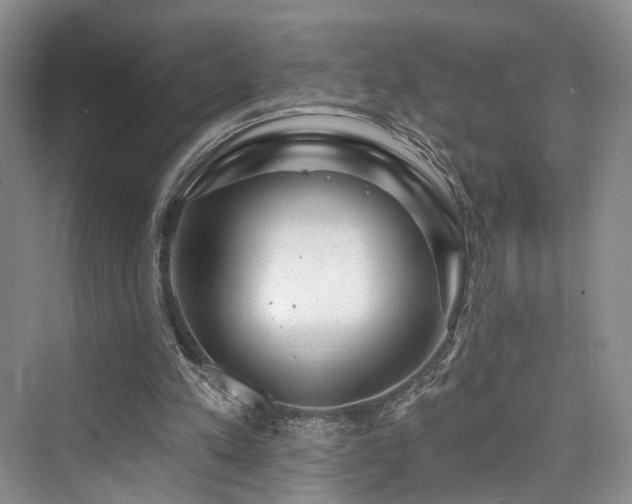 X0000073930197200608111209