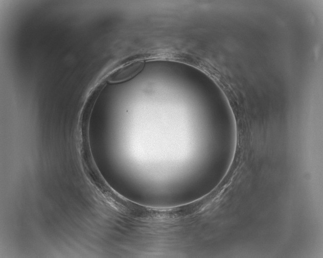 X0000073930198200608111209