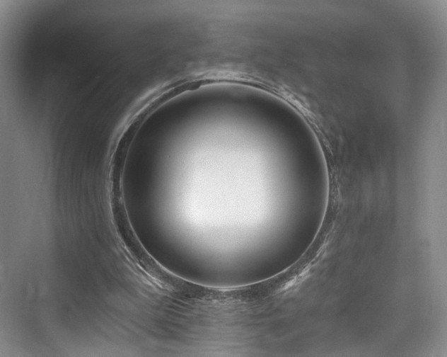 X0000073930199200608111209