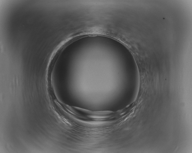 X0000073930200200608111209