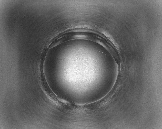 X0000073930201200608111209