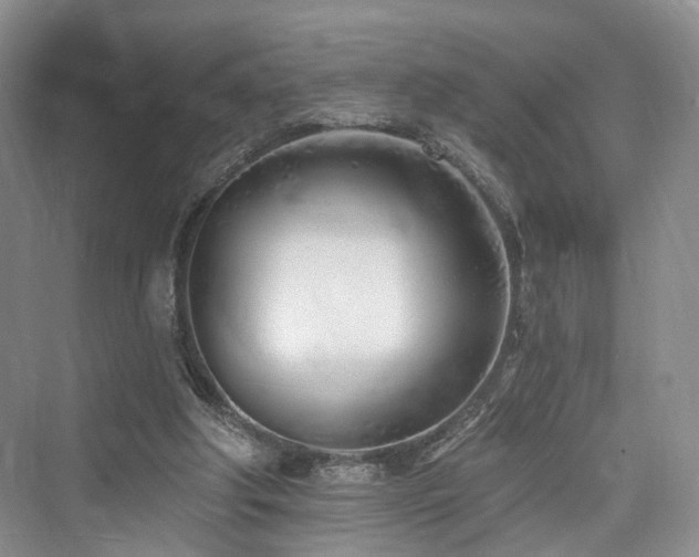 X0000073930202200608111209