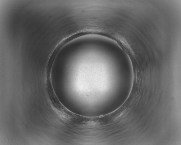 X0000073930204200608111209