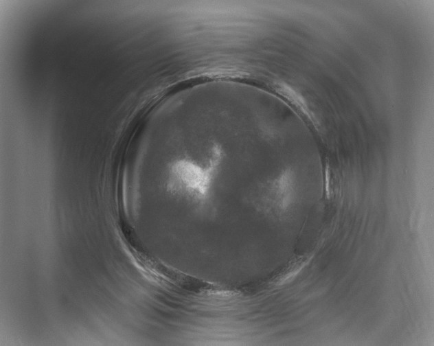 X0000073930205200608111209