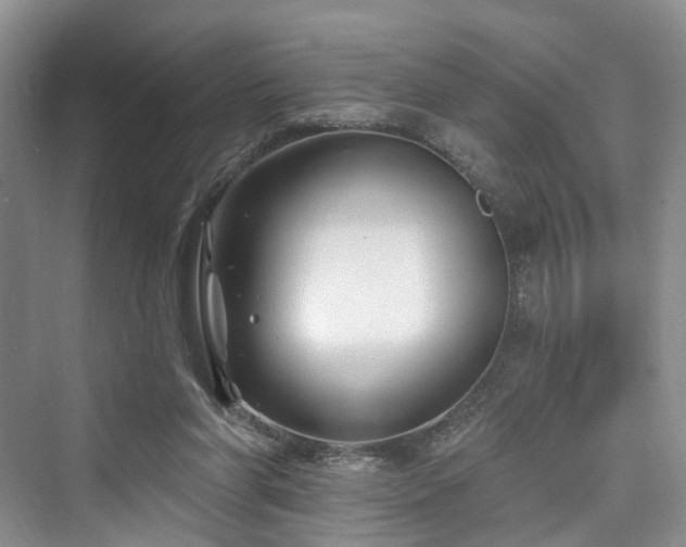 X0000073930206200608111209