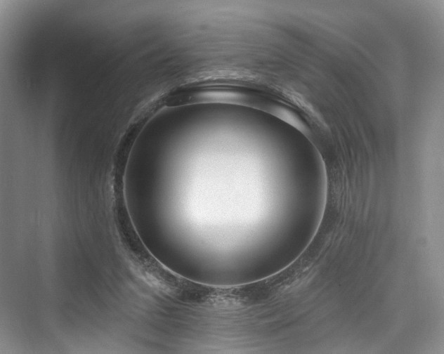 X0000073930207200608111209