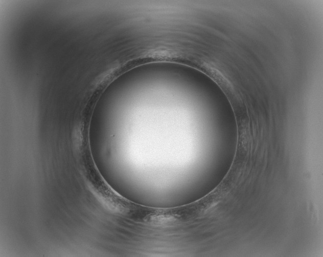 X0000073930208200608111209