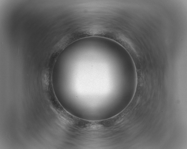 X0000073930210200608111209