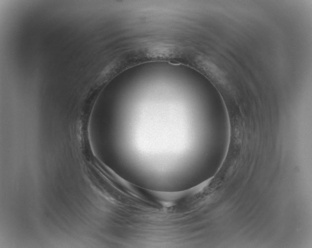 X0000073930211200608111209