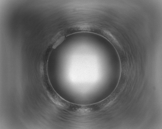 X0000073930213200608111209