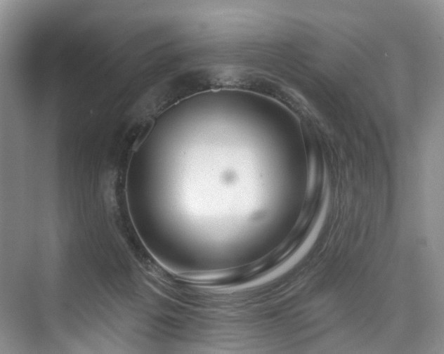 X0000073930217200608111209