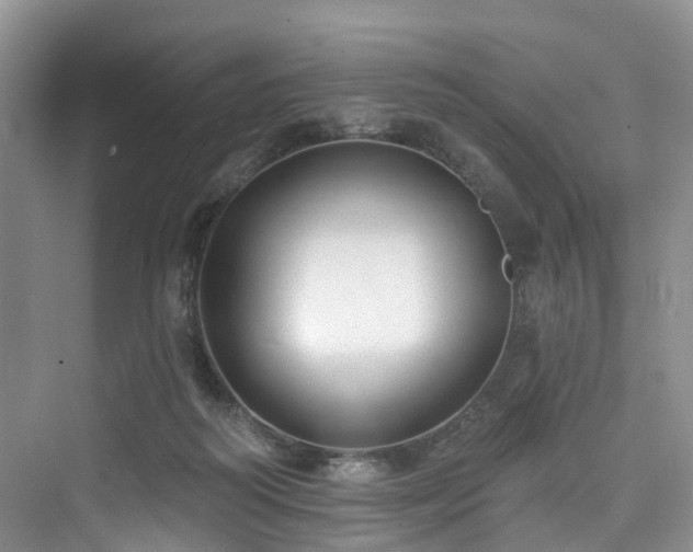 X0000073930218200608111209