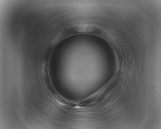 X0000073930219200608111209