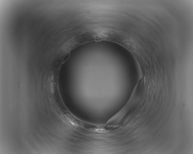 X0000073930223200608111208