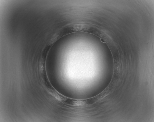 X0000073930226200608111208