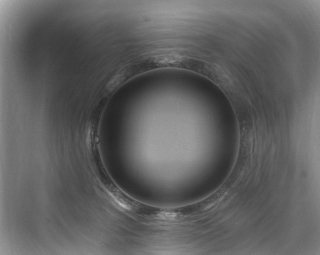 X0000073930227200608111208