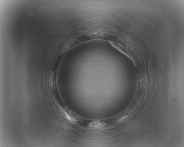 X0000073930231200608111208