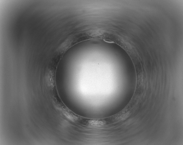 X0000073930234200608111208