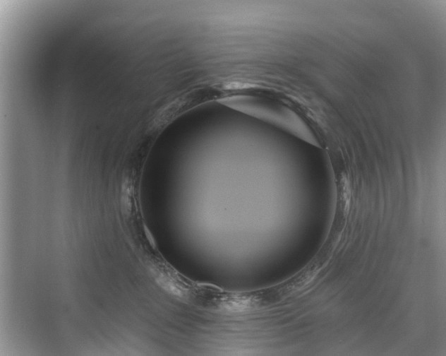 X0000073930235200608111208