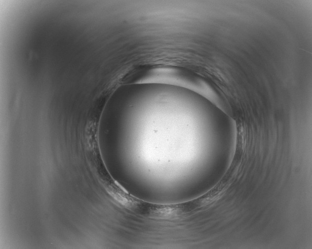 X0000073930237200608111208