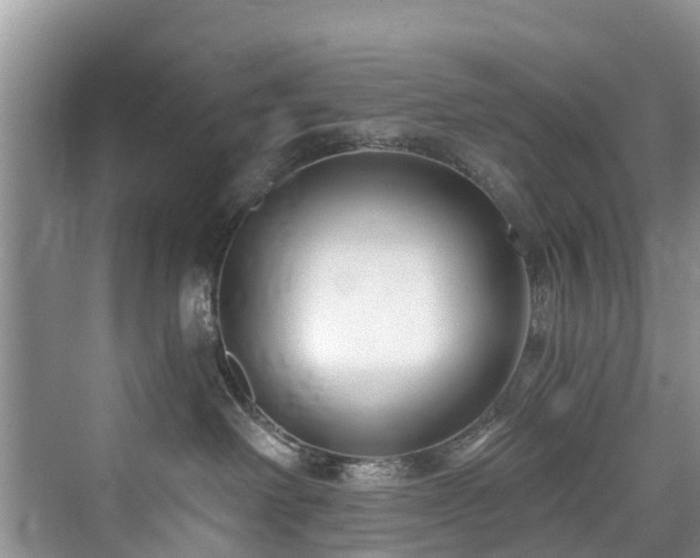 X0000073930238200608111208