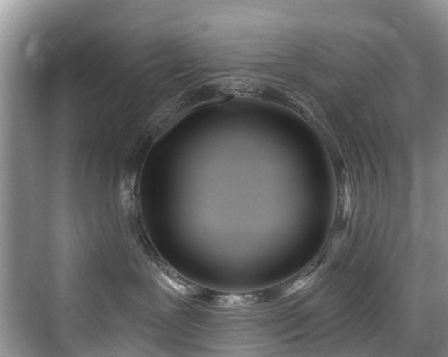 X0000073930239200608111208