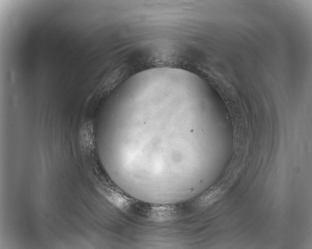 X0000073930240200608111208