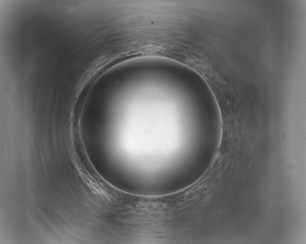 X0000073930242200608111207