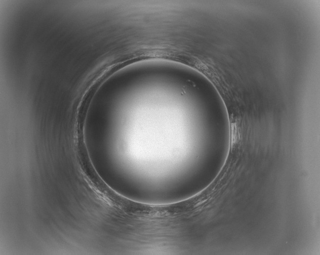 X0000073930243200608111207